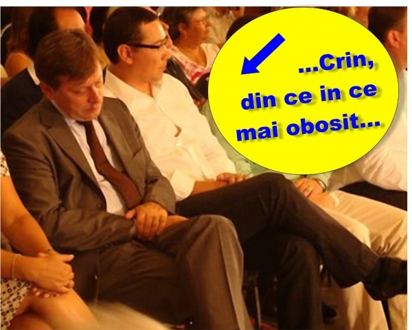 ...Crin, din ce in ce mai obosit...
