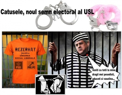 Catusele - noul insemn electoral al USL 