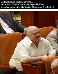 haita penalilor ranjind la Traian Basescu